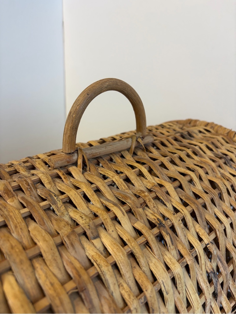 Vintage Wicker Rattan Pet Carrier Cat Dog Basket Boho Cottagecore Travel Crate - Picture 4 of 10